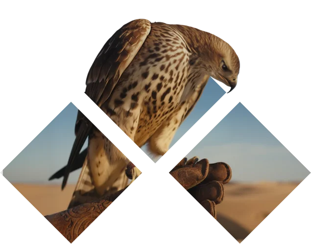 من نحن